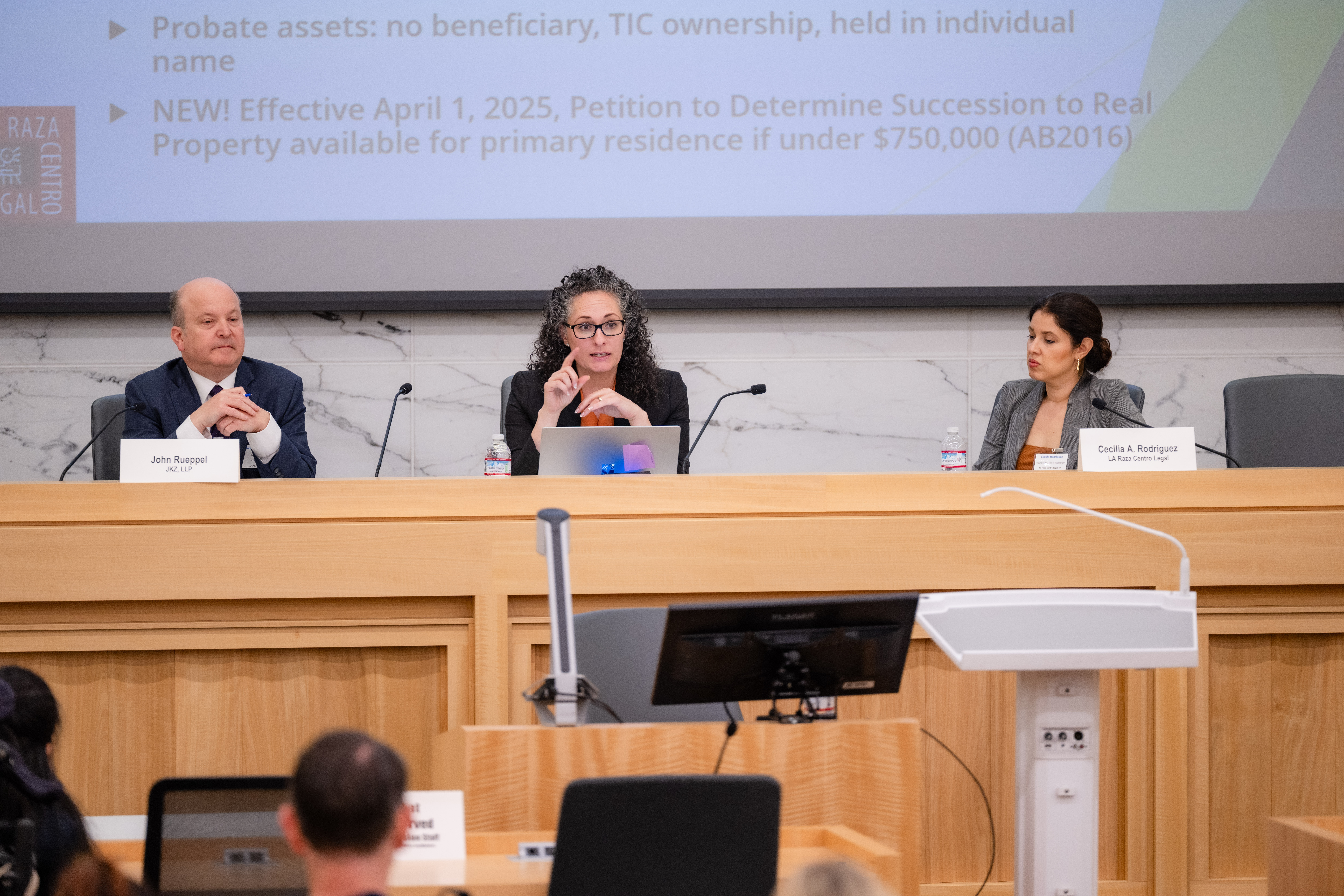 A conference panel at the 19th Conference on Elder Abuse (May 2025)